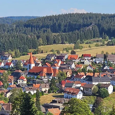 Schwarzwaldnest Apartment